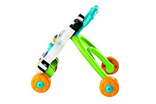 trotteur zèbre parlant